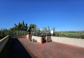 Rural estate for sale in Vinyols i els Arcs ref: TR356025 photo