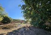 Rural estate for sale in Vinyols i els Arcs ref: TR356025 photo