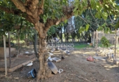 Rural estate for sale in Vinyols i els Arcs ref: TR356025 photo