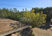 Rural estate for sale in Vinyols i els Arcs ref: TR356025 photo