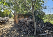 Rural estate for sale in Vinyols i els Arcs ref: TR356025 photo