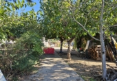 Rural estate for sale in Vinyols i els Arcs ref: TR356025 photo
