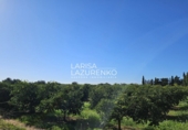 Rural estate for sale in Vinyols i els Arcs ref: TR356025 photo