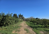 Rural estate for sale in Vinyols i els Arcs ref: TR356025 photo