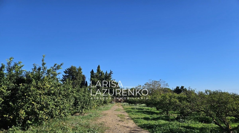 Таррагона - Vinyols i els Arcs - 50000m2