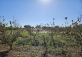 Rural estate for sale in Vinyols i els Arcs ref: TR356025 photo
