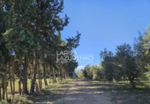 Rural estate for sale in Vinyols i els Arcs ref: TR356025 photo