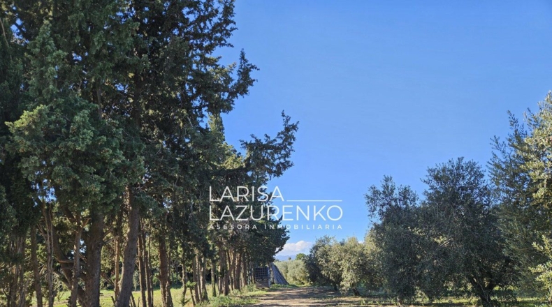 Таррагона - Vinyols i els Arcs - 50000m2