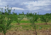 Rural estate for sale in Vinyols i els Arcs ref: TR356025 photo