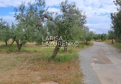 Rural estate for sale in Vinyols i els Arcs ref: TR356025 photo