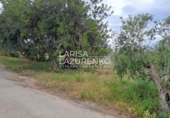 Rural estate for sale in Vinyols i els Arcs ref: TR356025 photo