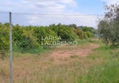 Rural estate for sale in Vinyols i els Arcs ref: TR356025 photo