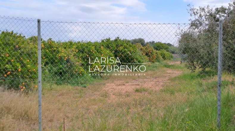 Таррагона - Vinyols i els Arcs - 50000m2