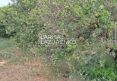 Rural estate for sale in Vinyols i els Arcs ref: TR356025 photo