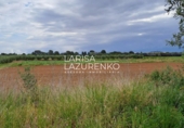 Rural estate for sale in Vinyols i els Arcs ref: TR356025 photo