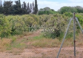 Rural estate for sale in Vinyols i els Arcs ref: TR356025 photo