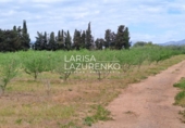 Rural estate for sale in Vinyols i els Arcs ref: TR356025 photo