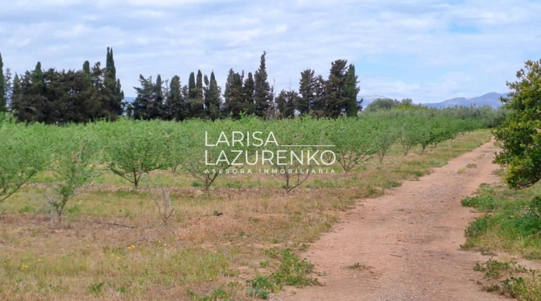 Таррагона - Vinyols i els Arcs - 50000m2