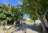 Finca rústica en venta en Mont-roig del Camp ref: TR356065 foto