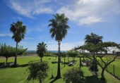 Finca rústica en venta en Mont-roig del Camp ref: TR356065 foto