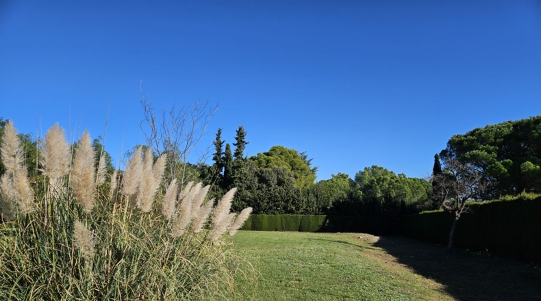 Tarragona - Almoster - 3602m2