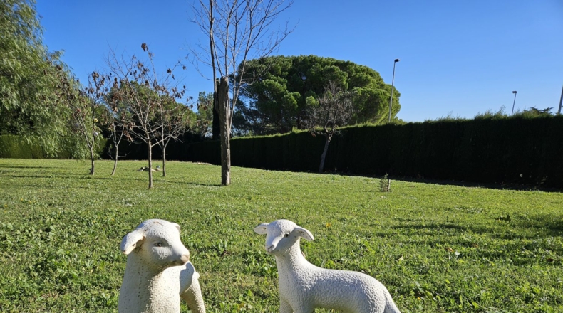 Tarragona - Almoster - 3602m2