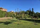 Xalet independent amb terreny en venda a Almoster ref.: TR372892 foto