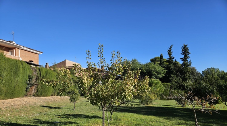 Tarragona - Almoster - 3602m2