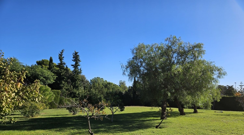 Tarragona - Almoster - 3602m2