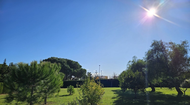 Tarragona - Almoster - 3602m2