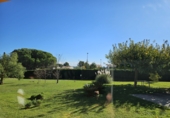 Xalet independent amb terreny en venda a Almoster ref.: TR372892 foto