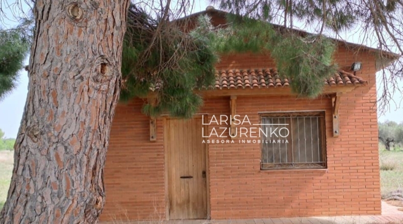 Tarragona - Constantí - 18507m2