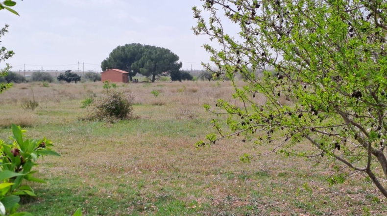 Tarragona - Constantí - 18507m2