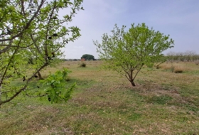 Constantí 18507&nbsp;м²