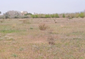 Земельный участок на продажу в городе Constantí. Фото