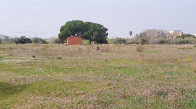 Tarragona - Constantí - 18507m2