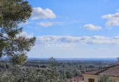 Xalet independent amb terreny en venda a Riudecanyes ref.: TR374879 foto