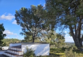 Xalet independent amb terreny en venda a Riudecanyes ref.: TR374879 foto