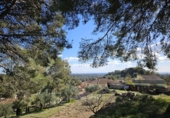 Xalet independent amb terreny en venda a Riudecanyes ref.: TR374879 foto