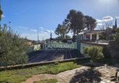 Xalet independent amb terreny en venda a Riudecanyes ref.: TR374879 foto