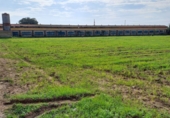 Rural estate for sale on España, Vila-seca, ref: TR381722 photo