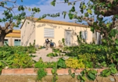 Rural estate for sale on España, Vila-seca, ref: TR381722 photo