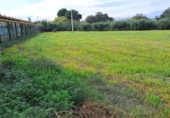 Rural estate for sale on España, Vila-seca, ref: TR381722 photo