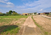 Rural estate for sale on España, Vila-seca, ref: TR381722 photo