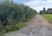 Rural estate for sale on España, Vila-seca, ref: TR381722 photo