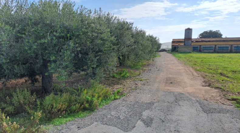 Tarragona - Vila-seca - 23307m2