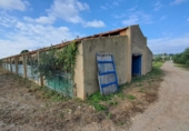 Rural estate for sale on España, Vila-seca, ref: TR381722 photo