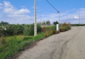 Rural estate for sale on España, Vila-seca, ref: TR381722 photo