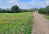 Rural estate for sale on España, Vila-seca, ref: TR381722 photo