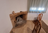 Rural estate for sale on España, Vila-seca, ref: TR381722 photo